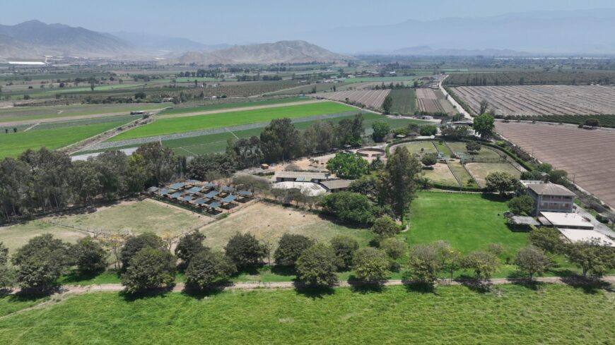 HRF lideró la estadística de criadores al término de enero