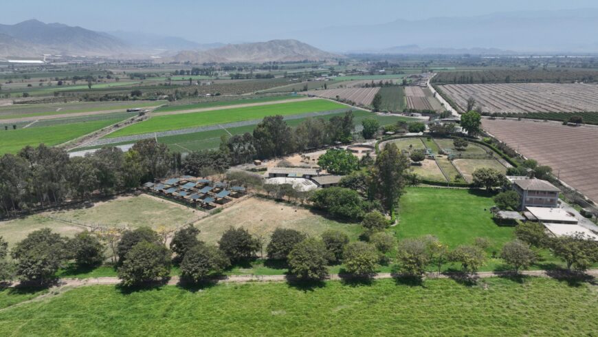 HRF lideró la estadística de criadores al término de enero