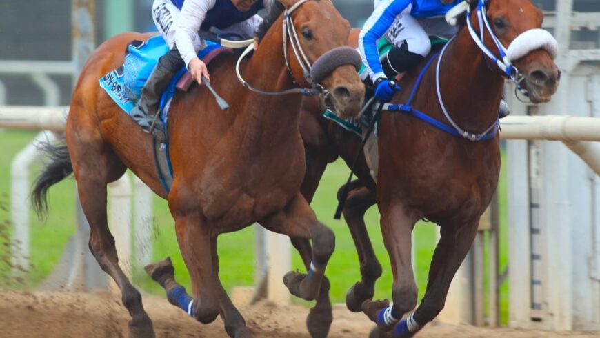 Emotivo final en el Ricardo Ortiz de Zevallos (G1)