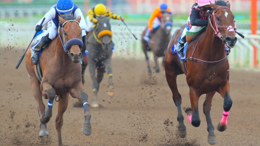 Poseidon alcanzo la gloria en el Derby Nacional (G1)