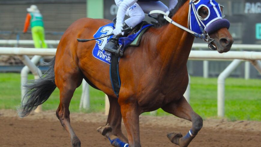 Haras Rancho Fátima dice ‘presente’ en el Latino con Von Braun