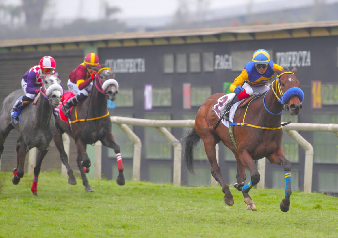 La Toto vence en el Clásico Miguel Fort Magot (G3)