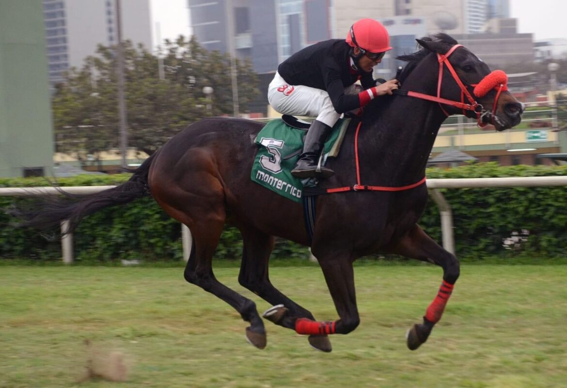 Scorpio rindió bárbaro sobre el pasto