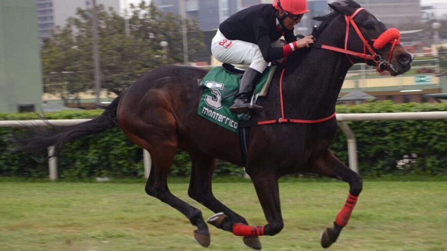 Scorpio rindió bárbaro sobre el pasto