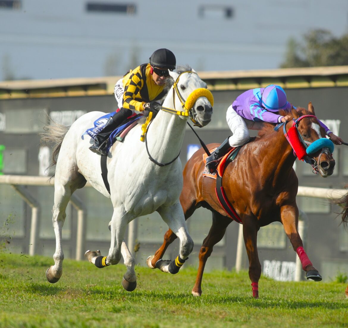 Don Feres, con la clase de siempre, derrotó a Schiller Moon