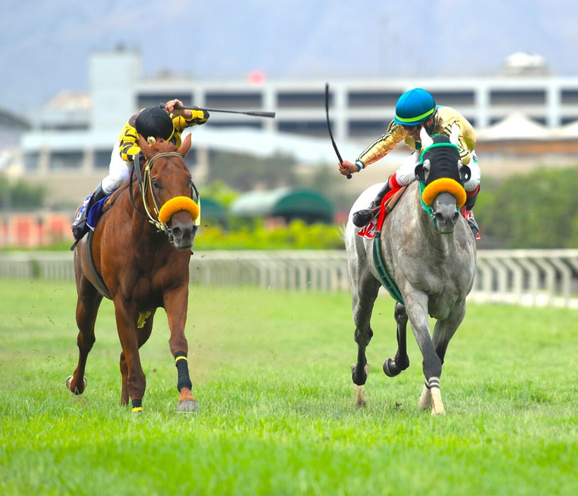 Ulpiano, en final de foto, ganó el Meiggs (G2)