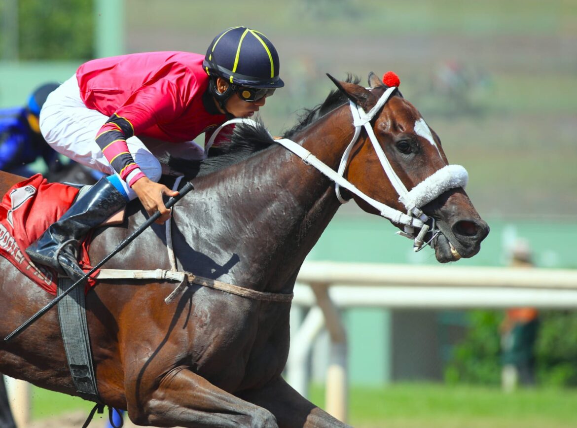 Nuevo triplete del Haras Rancho Fátima