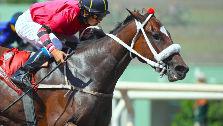 Nuevo triplete del Haras Rancho Fátima