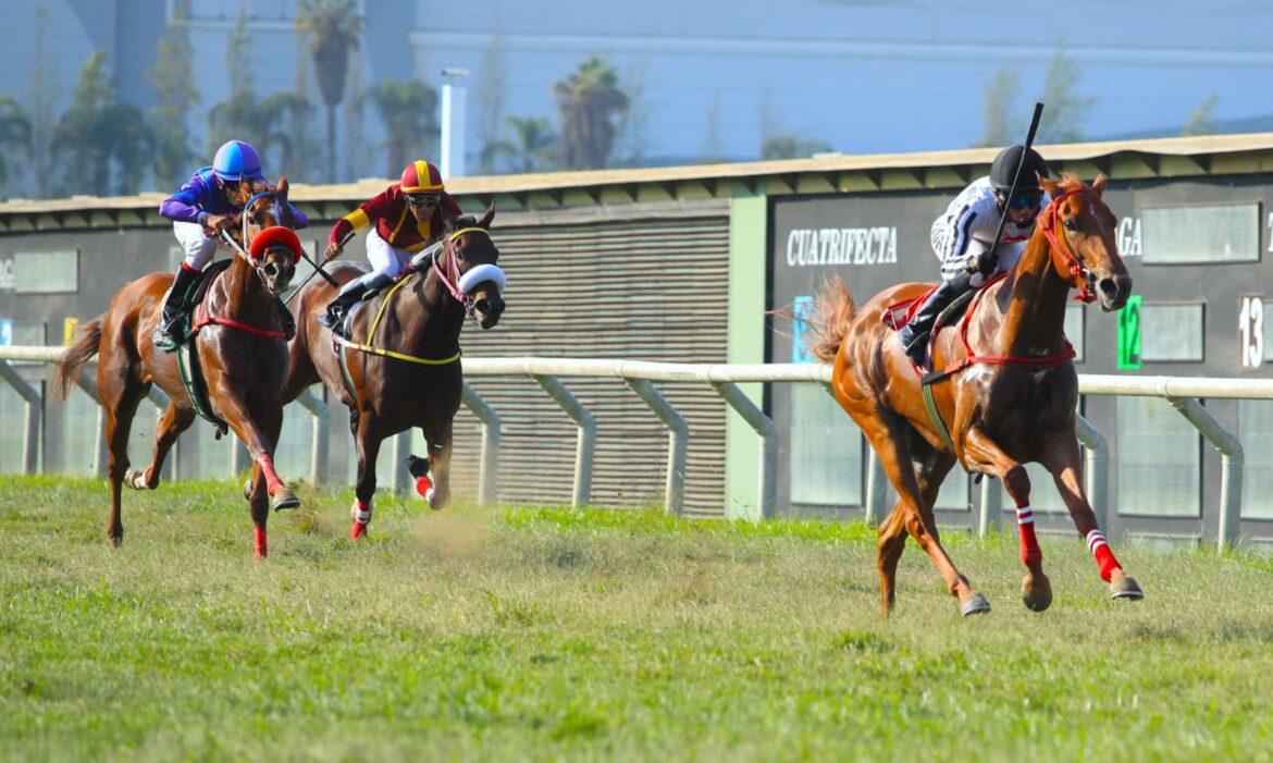 Suemy se sigue consolidando en el césped
