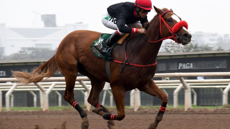 Lamay ganó en gran forma y apunta a más