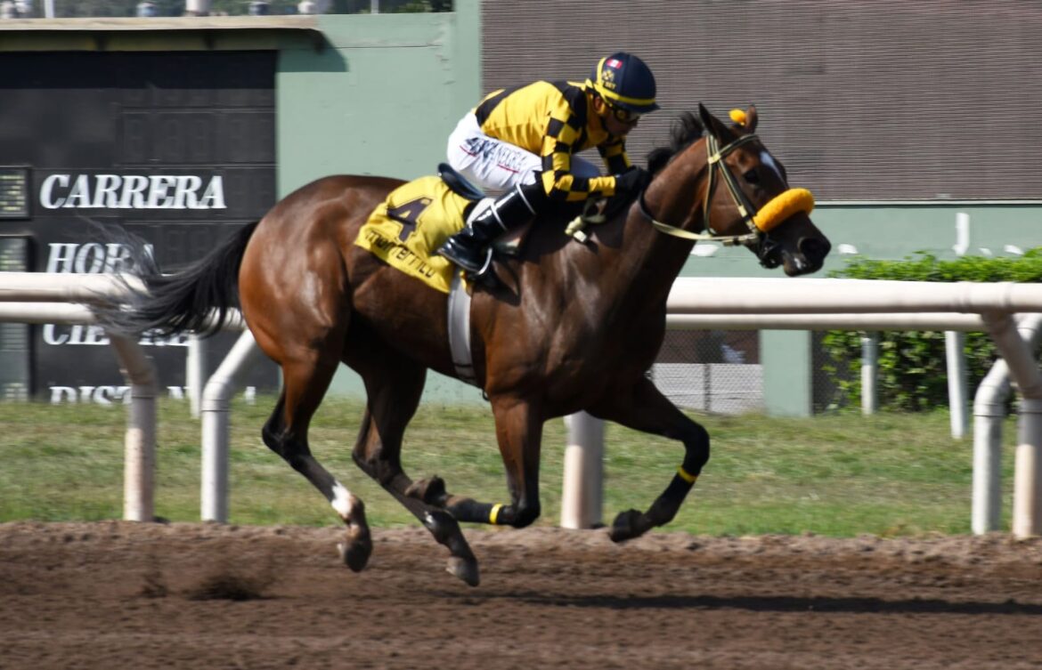 Chin Chin: Debut triunfal que hace soñar en grande