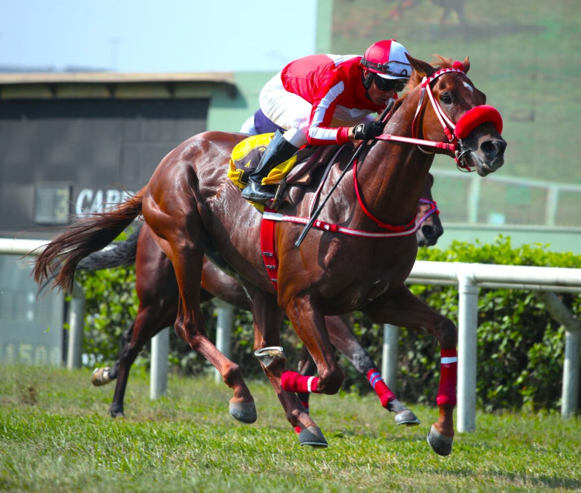 Lauchero se siguió superando y ganó en el césped