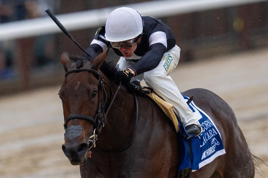 La Cara se recuperó y ganó el Acorn S. (G1) de punta a punta
