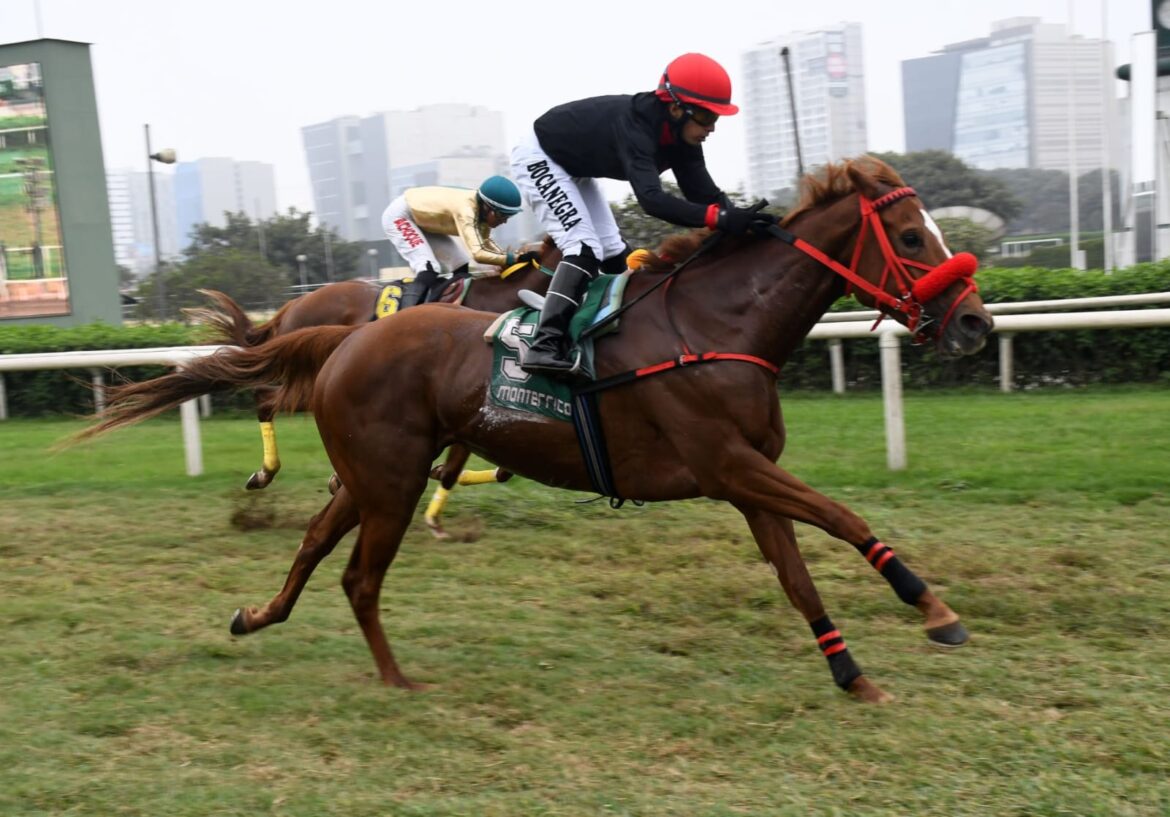 Silhouette, bien montada, se reencontró con el triunfo