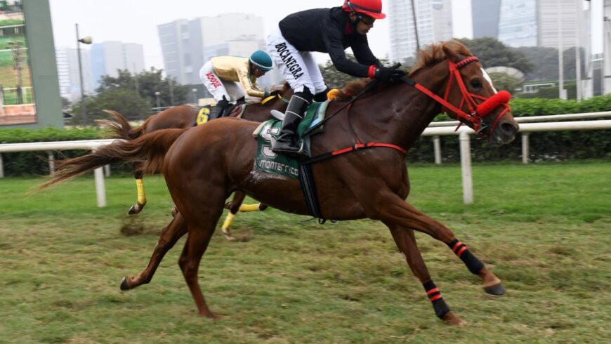 Silhouette, bien montada, se reencontró con el triunfo