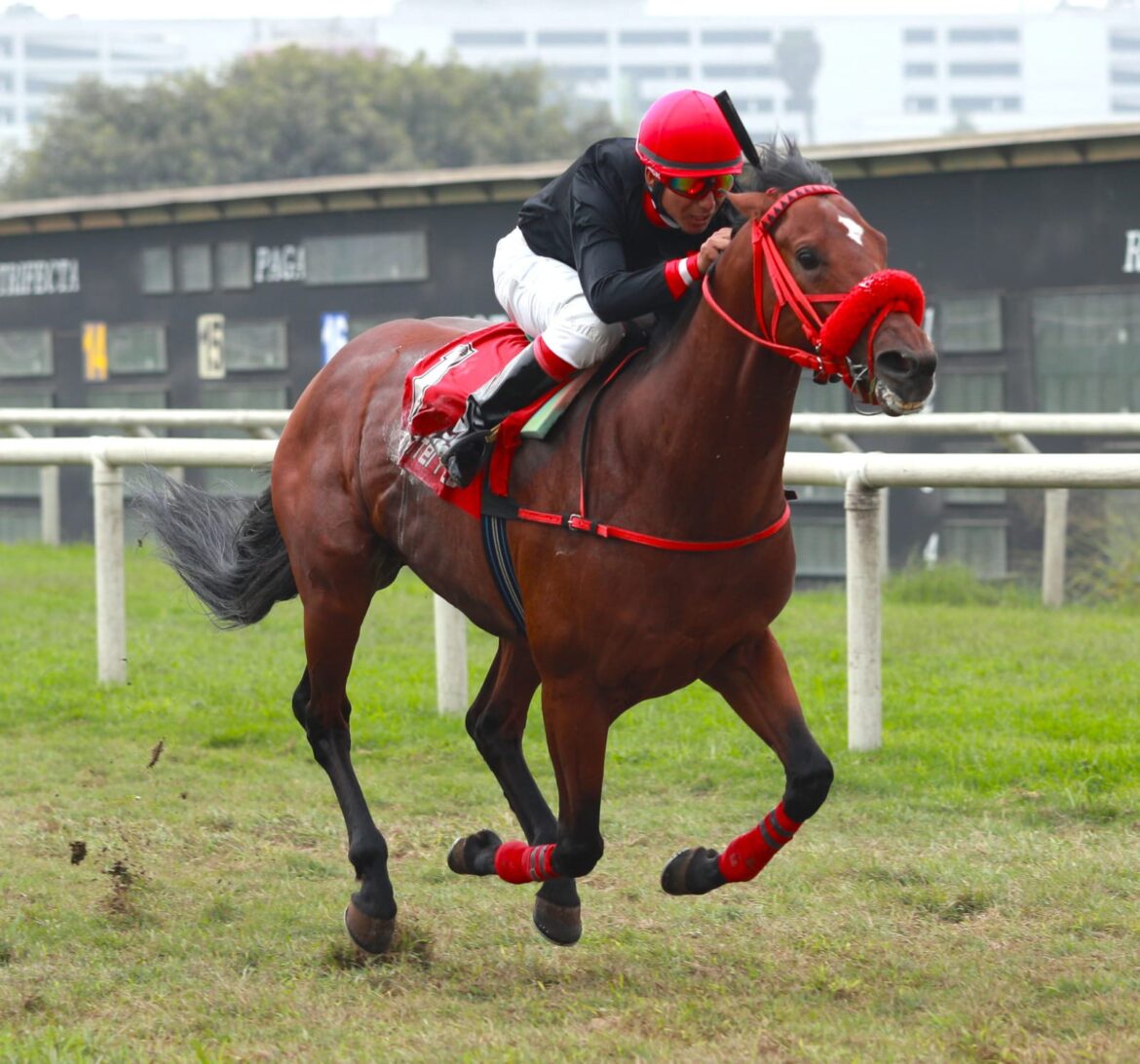 Nuevo triplete del Haras Rancho Fátima
