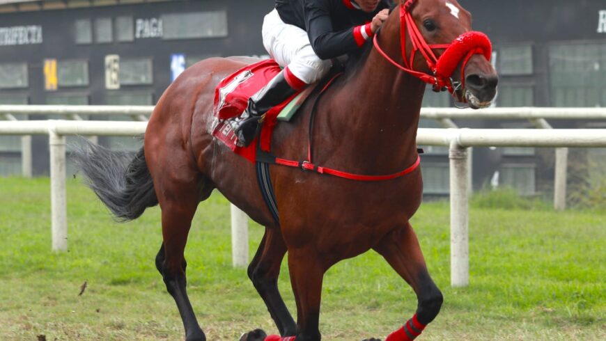 Nuevo triplete del Haras Rancho Fátima