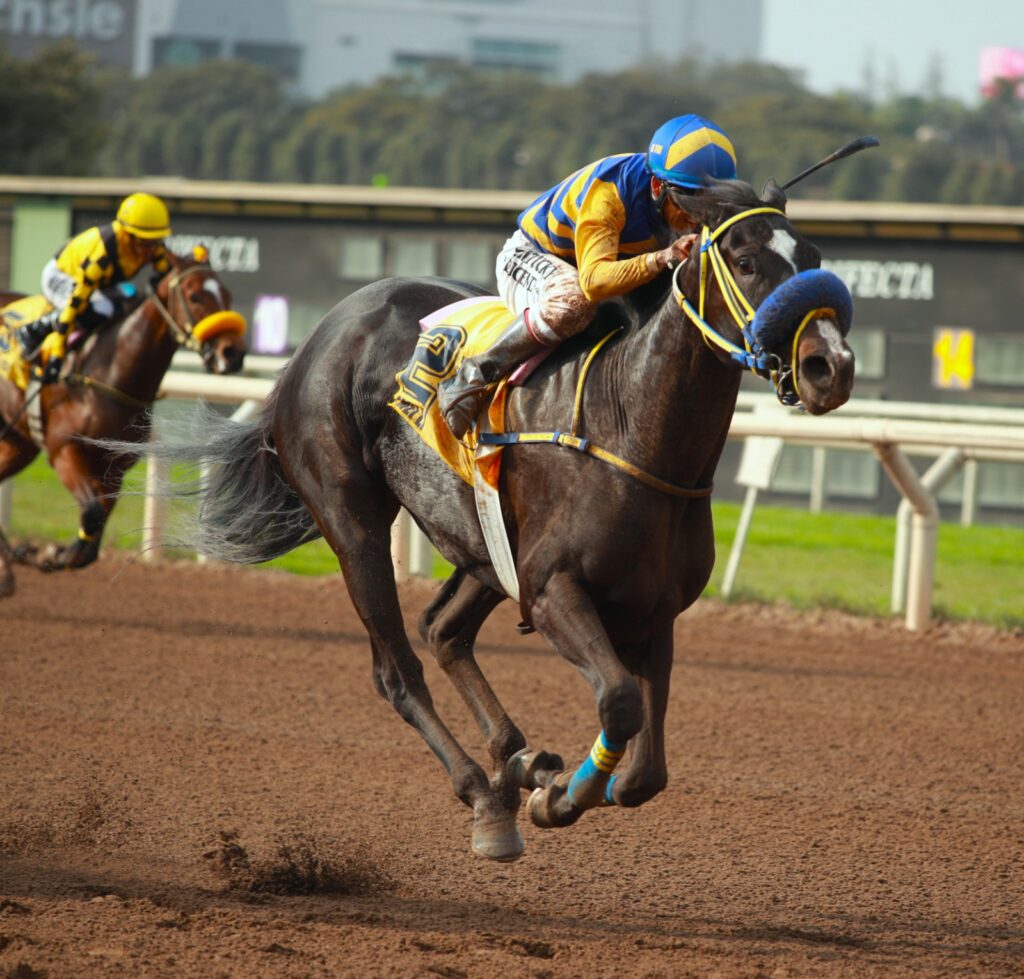 Radoslav y Mei Li se suman a la lista de campeones del HRF