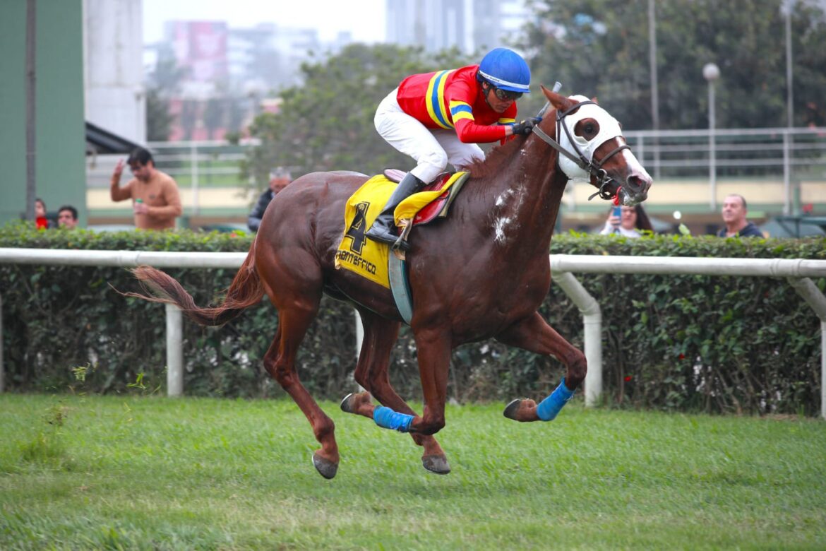 Machacón lució arrollador y logró su primer triunfo