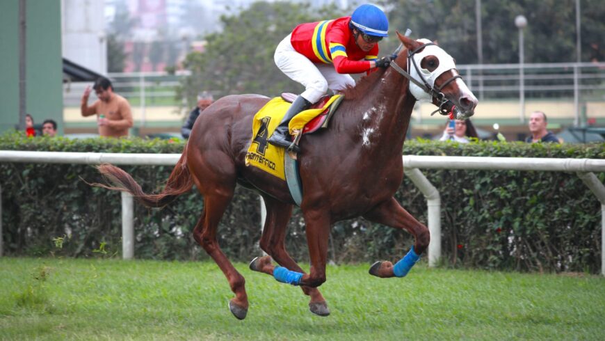 Machacón lució arrollador y logró su primer triunfo