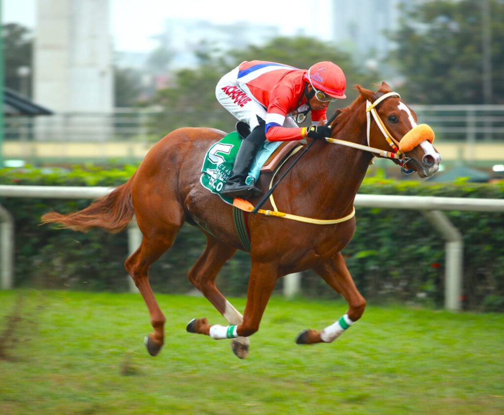 Lola Lola extendió su invicto en el Clásico Maidenform