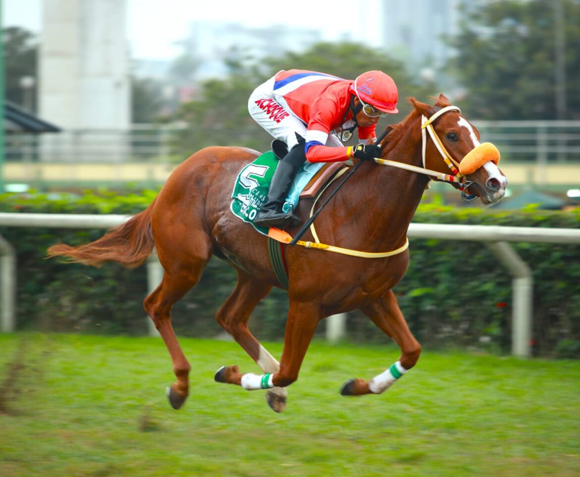 Lola Lola extendió su invicto en el Clásico Maidenform