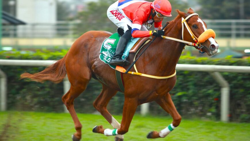 Lola Lola extendió su invicto en el Clásico Maidenform