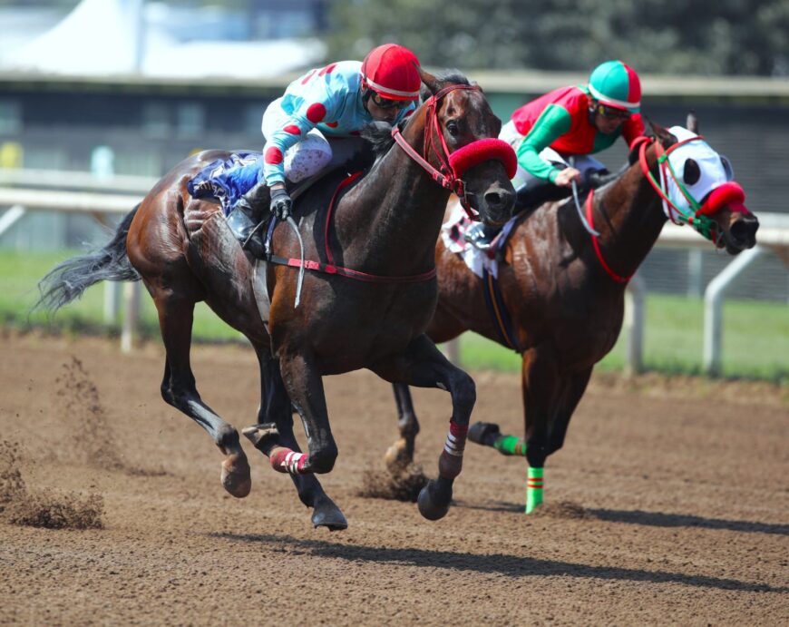 Testimonio pasó su pasaje para la Polla de Potrillos