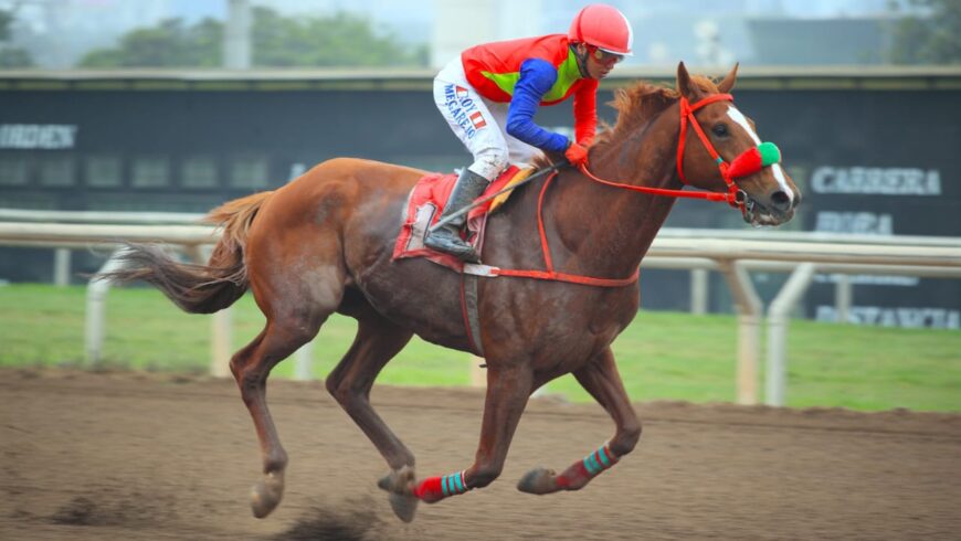 Sinchi Roca respondió al favoritismo ganando de manera fácil