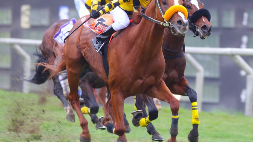 Radoslav ganó el Fernández Concha [G3]; gran placé de Lola Lola en el Fort Magot [G3]