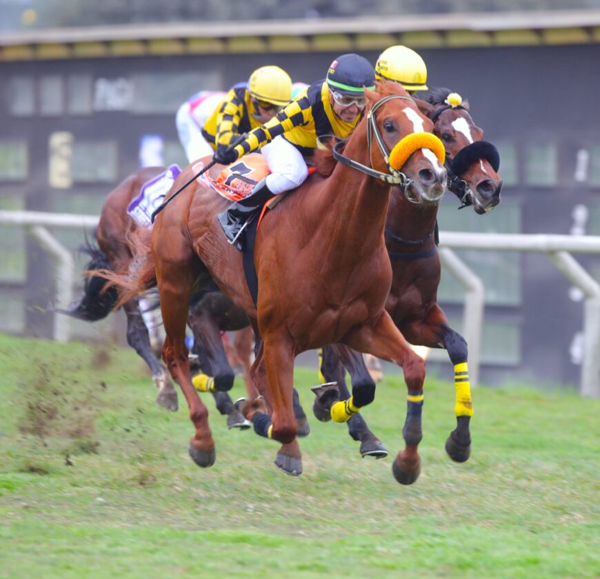 Radoslav ganó el Fernández Concha [G3]; gran placé de Lola Lola en el Fort Magot [G3]
