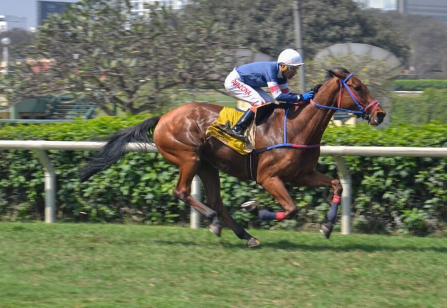 Tres más para Singe The Turf y otro sextuplete en la semana para el HRF