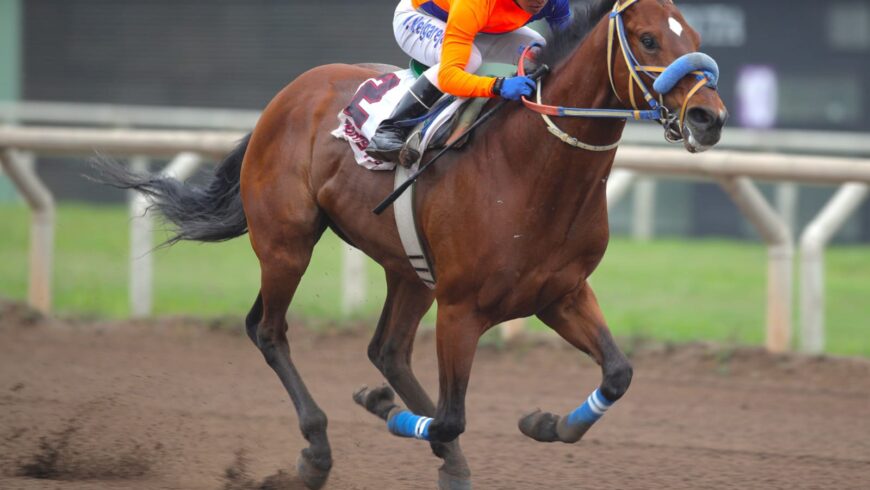 Zadkiel ganó cómodo en su debut