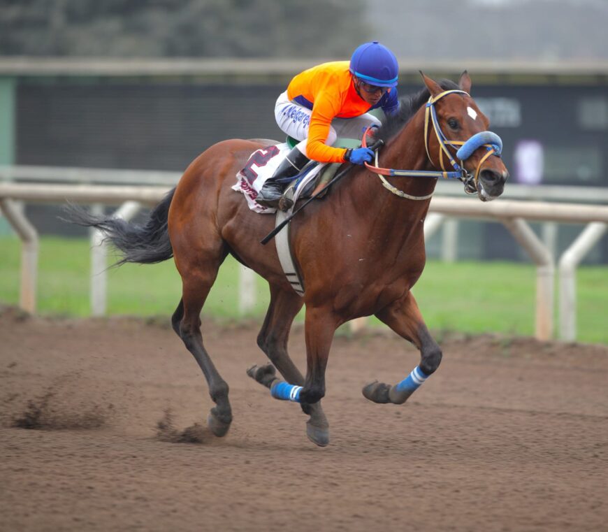 Zadkiel ganó cómodo en su debut