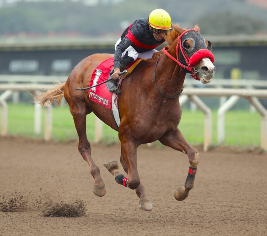 Cuadruplete del HRF en la segunda fecha de la Semana del Propietario