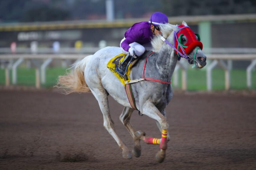 Asfaloth, sus 24 triunfos y otra semana con sextuplete para el HRF