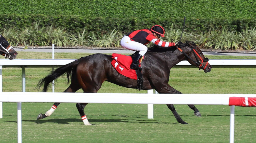 Su Win le da nuevo éxito al Santa Cruz Ranch en Gulfstream Park