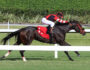 Su Win le da nuevo éxito al Santa Cruz Ranch en Gulfstream Park