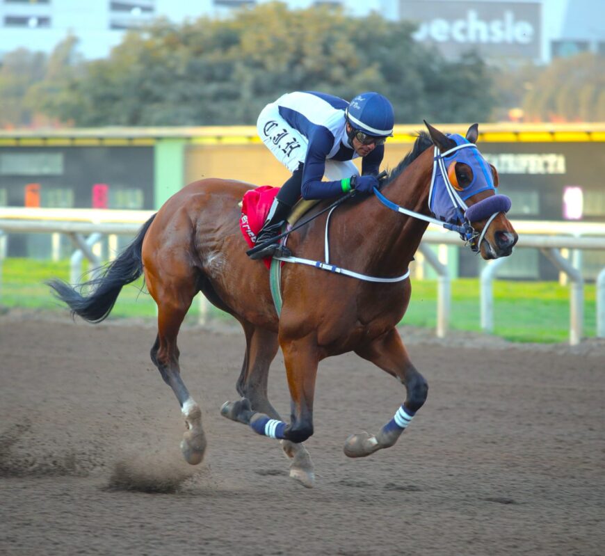 Príncipe Gael, fácil en su primera victoria