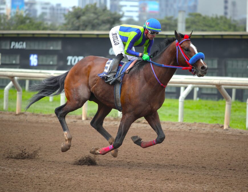 Agnar pasa de largo y logra triunfal reaparición
