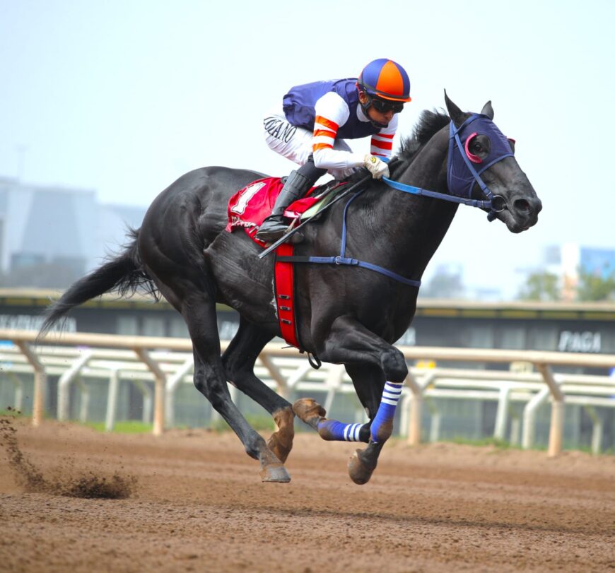 Malibu Bay, muy cómodo, logra su tercer triunfo en el kilómetro