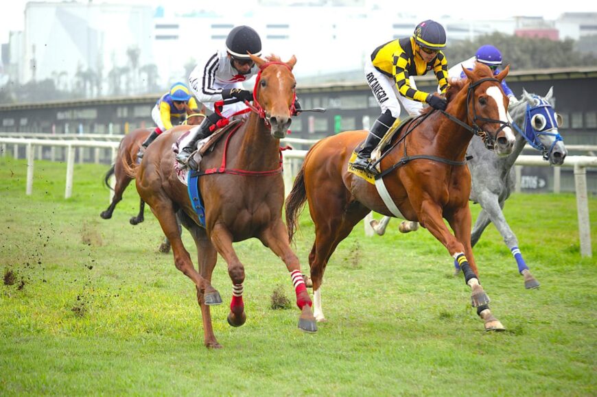 Suemy lució poderosa atropellada y alcanzó su quinto éxito