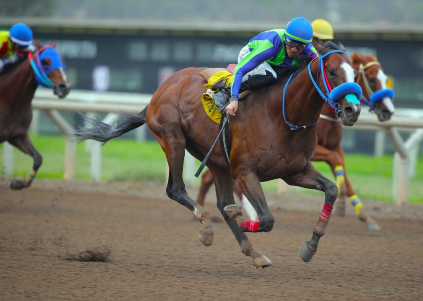 Agnar pasó de largo y está listo para volver al campo clásico