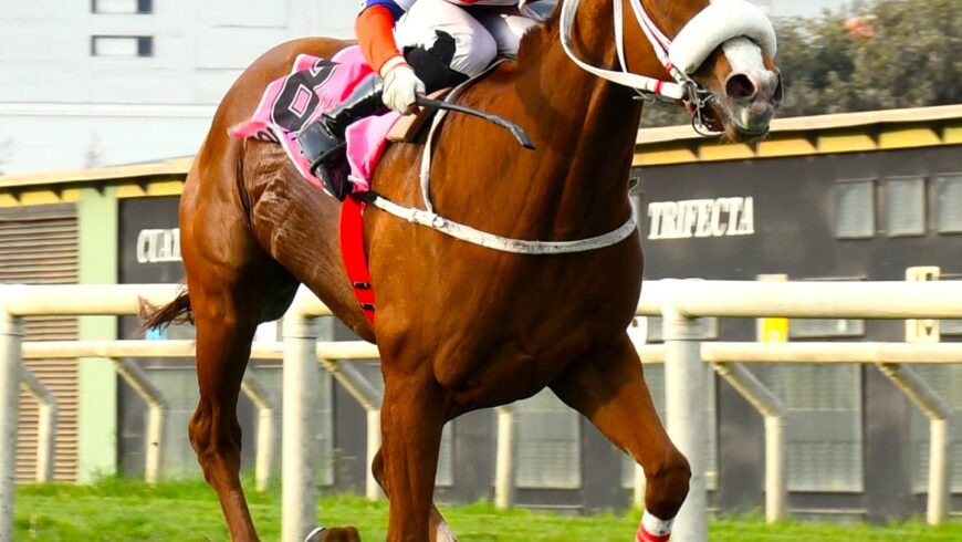 Lola Lola con arrollador remate en su segundo triunfo clásico
