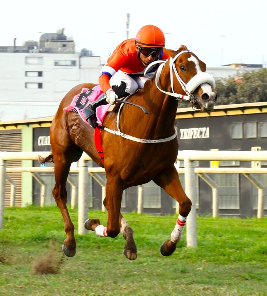 Lola Lola con arrollador remate en su segundo triunfo clásico
