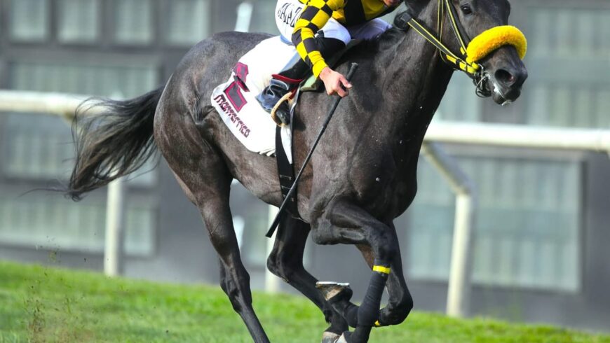 Clarissa, la hermana de Don Feres, se mostró superior en su primer triunfo