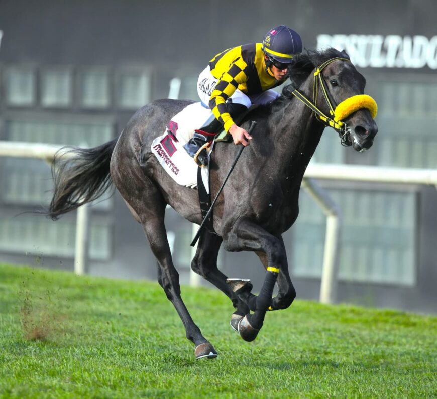 Clarissa, la hermana de Don Feres, se mostró superior en su primer triunfo