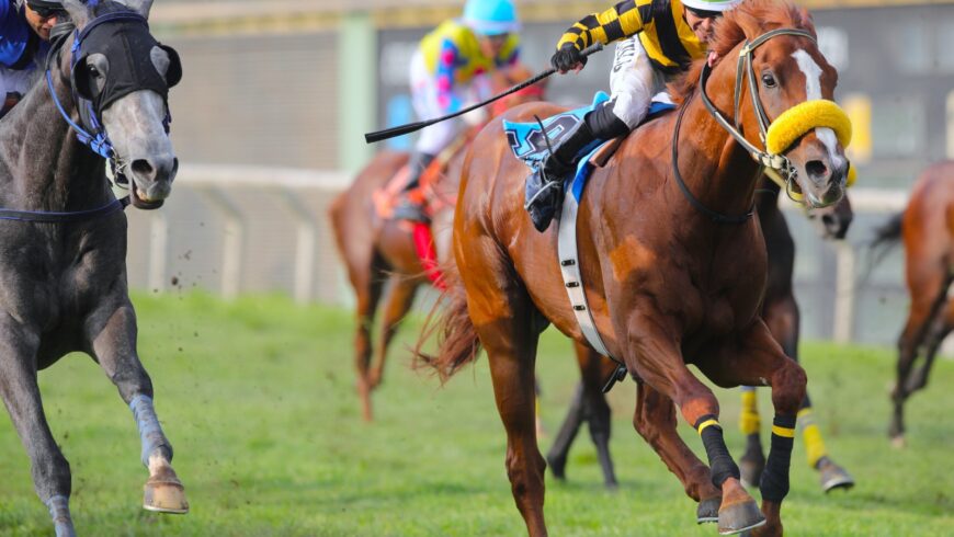 Radoslav venció a Marc Rosso en el Gustavo Prado Heudebert [G3]