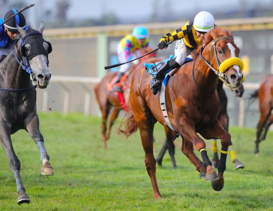 Radoslav venció a Marc Rosso en el Gustavo Prado Heudebert [G3]