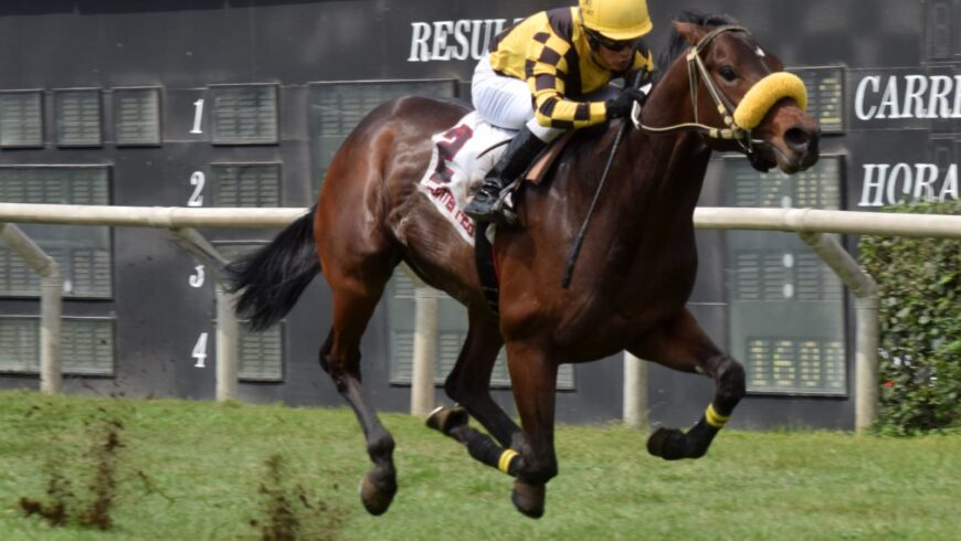 Cuadruplete del Haras Rancho Fátima el fin de semana